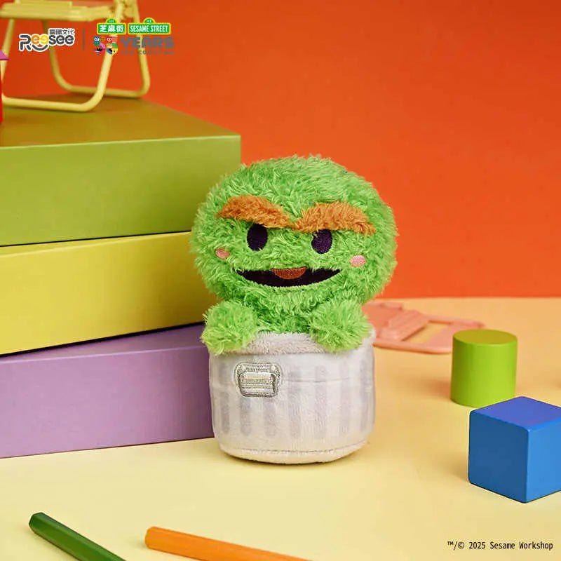 DMHTOY Reesee Sesame Street blessing Blind Box Plush Doll