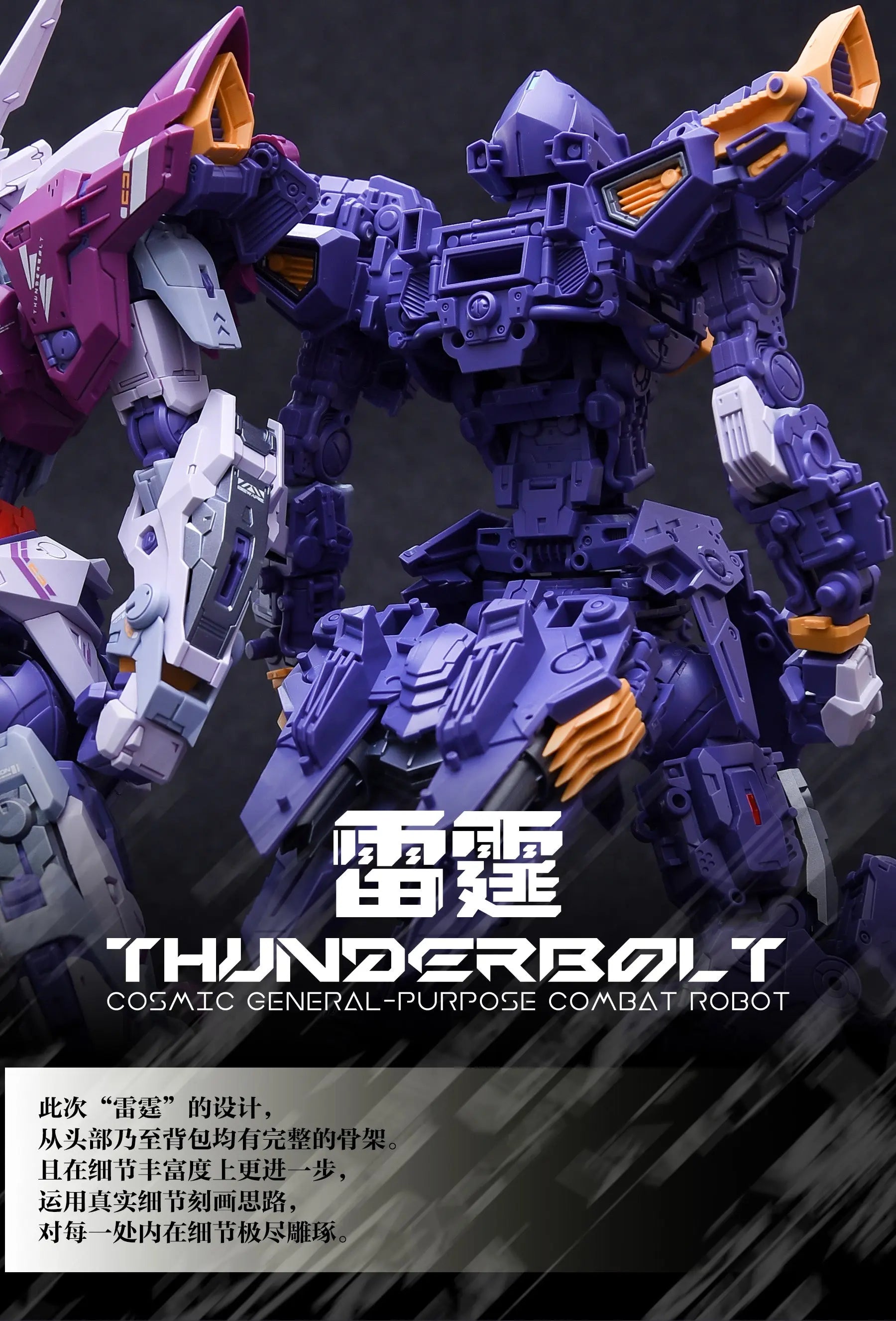 IN ERA+ 1/100 RMD Series Thunderbolt Model Kit - GunDamit Store