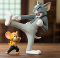 DMHTOY TOM and JERRY Warner 100th Anniversary Blind Box Mini Figure